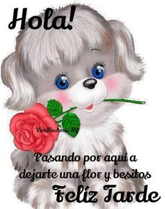 Buenas Tardes Amigos Del Facebook Para Whatsapp Celular