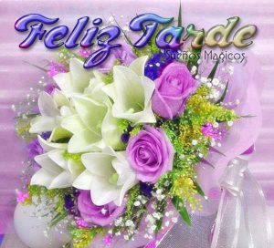 Buenas Tardes Amor De Mi Vida Para Whatsapp Celular