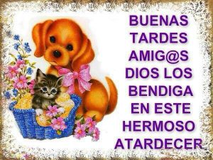 Buenas Tardes Animadas Con Movimiento Para Whatsapp Celular