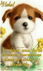 Buenas Tardes Bendiciones Para Whatsapp Celular