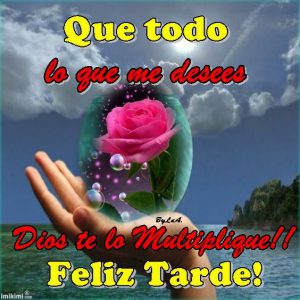 Buenas Tardes Canarias Para Whatsapp Celular