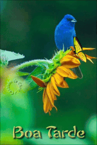 Buenas tardes cariño gif animadas
