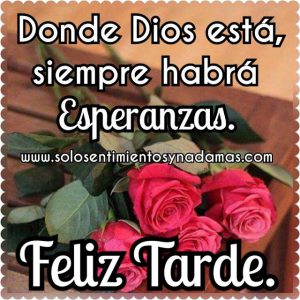 Buenas tardes cariño para Facebook y WhatsApp