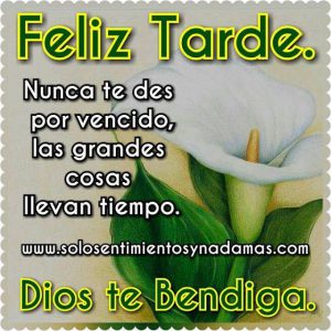 Buenas tardes chicas para Facebook y WhatsApp