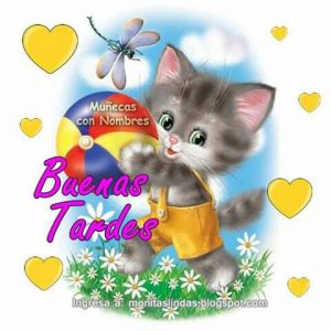 Buenas Tardes Chistosas Para Facebook Y Whatsapp