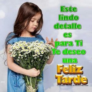 Buenas Tardes Chistosas Para Whatsapp Celular