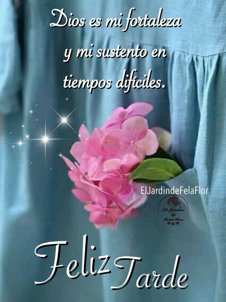 Buenas Tardes Corazon Para Facebook Y Whatsapp