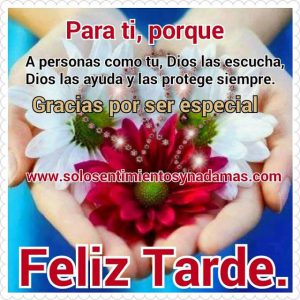 Buenas Tardes Corazon Para Whatsapp Celular