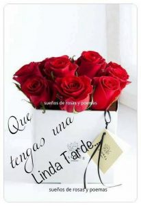 Buenas Tardes De Amor Para Facebook Y Whatsapp
