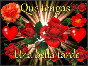 Buenas Tardes De Amor Para Whatsapp Celular