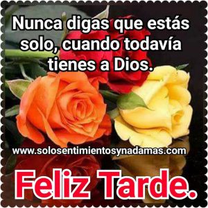 Buenas Tardes De Domingo Para Facebook Y Whatsapp