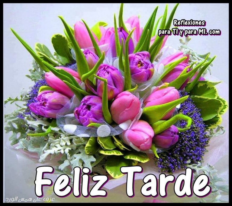 Buenas Tardes Deutsch Para Facebook Y Whatsapp