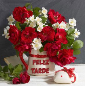 Buenas Tardes Deutsch Para Whatsapp Celular