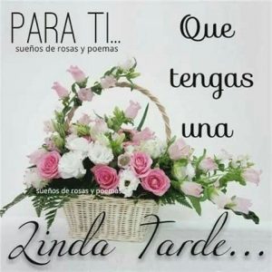 Buenas Tardes En Frances Para Whatsapp Celular