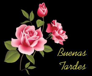 Buenas Tardes En Italiano Para Whatsapp Celular