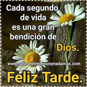 Buenas Tardes En Portugues Para Facebook Y Whatsapp