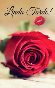 Buenas Tardes Imagenes Graciosas Para Facebook Y Whatsapp