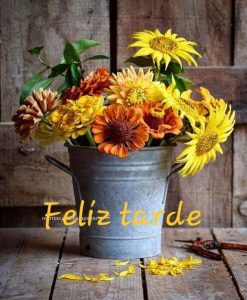 Buenas tardes imágenes para WhatsApp celular
