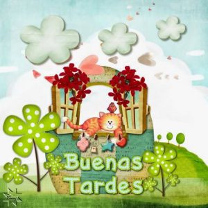 Buenas tardes images para WhatsApp celular