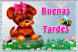 Buenas tardes in spanish gif animadas