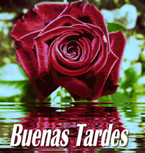 Buenas tardes meaning gif animadas