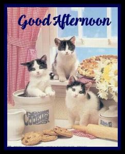 Buenas Tardes Means Para Whatsapp Celular