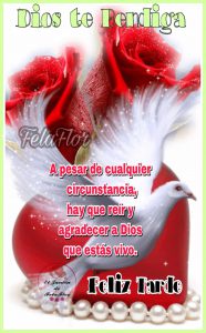 Buenas Tardes Mi Amor Frases Para Whatsapp Celular