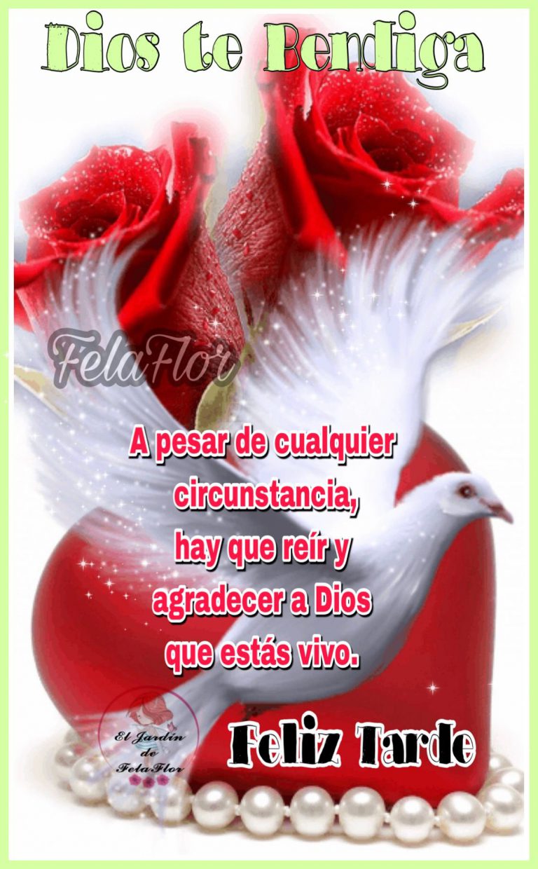 Buenas Tardes Mi Amor Frases Para Whatsapp Celular