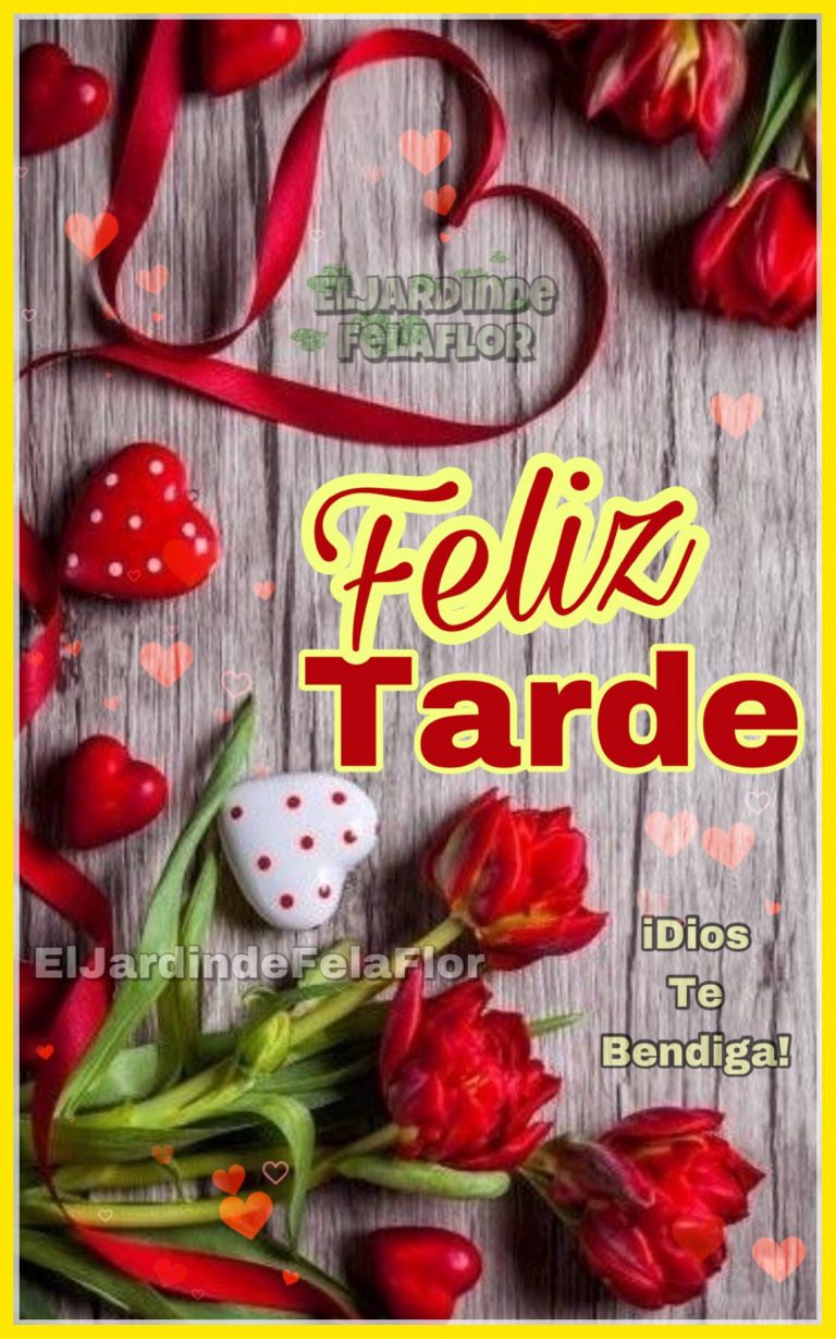 Buenas Tardes Miercoles Para Facebook Y Whatsapp