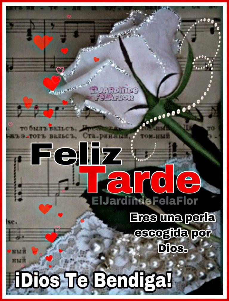 Buenas Tardes Para Enamorar Para Whatsapp Celular