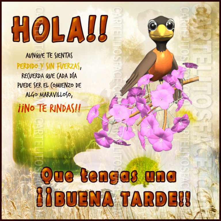 Buenas Tardes Para Mi Novia Para Whatsapp Celular