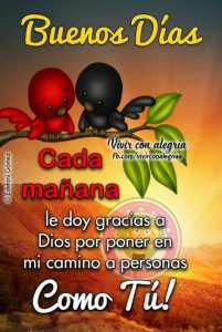 Buenas Tardes Preciosa Para Whatsapp Celular