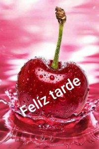 Buenas Tardes Translate To English Para Whatsapp Celular