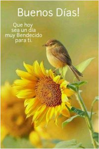 Buenos Dias A Para Descargar