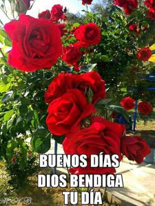 Buenos Dias A Para Mi Amor