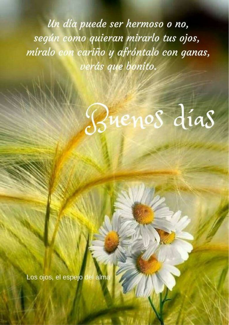 Buenos Dias A Todos