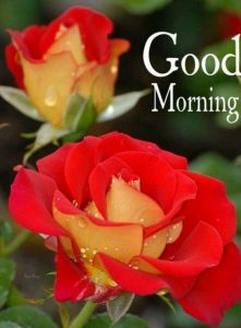 Buenos Dias A Todos Imagenes Para Facebook