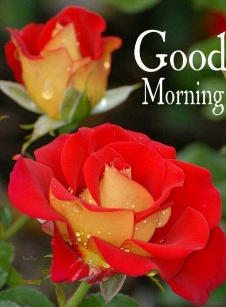 Buenos Dias A Todos Imagenes Para Facebook