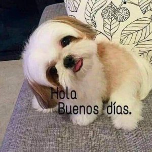 Buenos Dias A Tu Amor Para Una Amiga