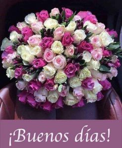 Buenos Dias A Tu Pareja Para Una Amiga