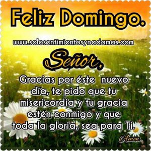 Buenos Dias Amigos Feliz Domingo Para Celular