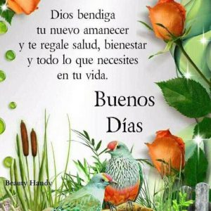 Buenos Dias Amor Para Mi Novio Para Descargar