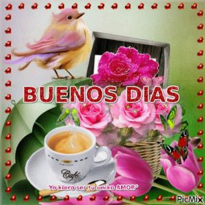 Buenos Dias Amor Para Mi Novio Para Facebook