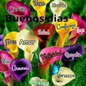 Buenos Dias Amor Versos Para Facebook