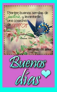 Buenos Dias Amorcito De Mi Vida Para Mi Amor