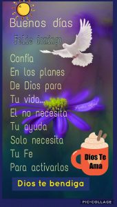 Buenos Dias Amorosos Para Celular