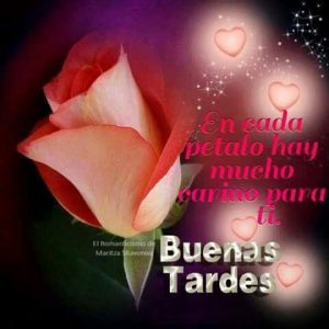 Buenos Dias Buenas Tardes Buenas Noches En Ingles Para Whatsapp Celular