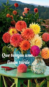 Buenos Dias Buenas Tardes Buenas Noches Quiero Darte Para Whatsapp Celular