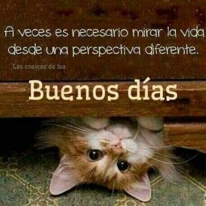 Buenos Dias Buenos Dias Como Estas