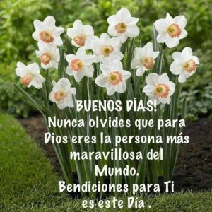 Buenos Dias Cariño Frases Para Descargar